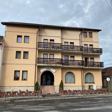 Pensiune Restaurant Indus Ocna Sibiului Exterior photo
